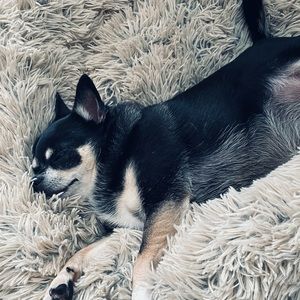 Meet your Posher, Ioana